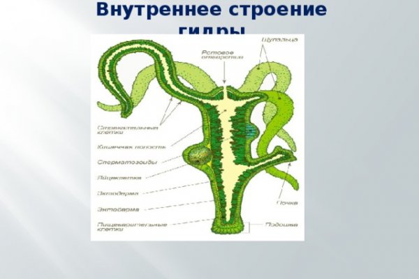 Как пополнить кошелек кракена